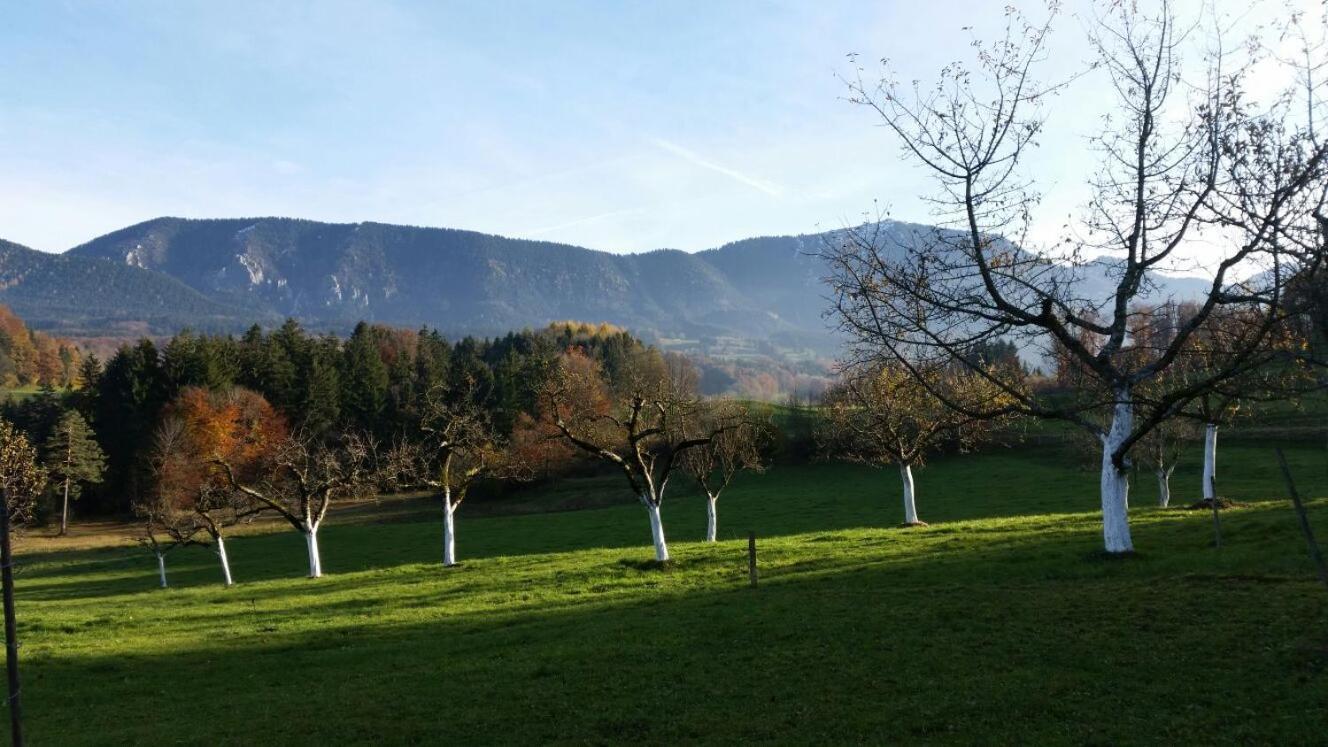 Weissnhof Villa Samerberg Exteriör bild