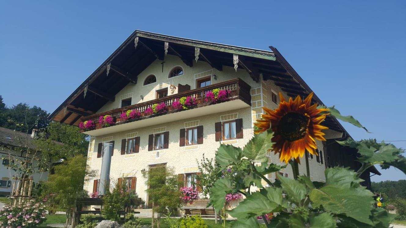 Weissnhof Villa Samerberg Exteriör bild
